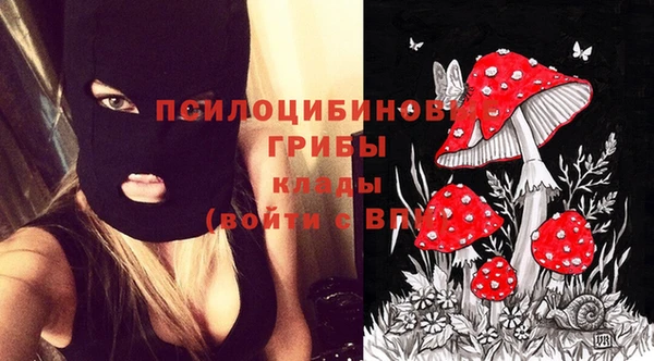 ешки Богданович