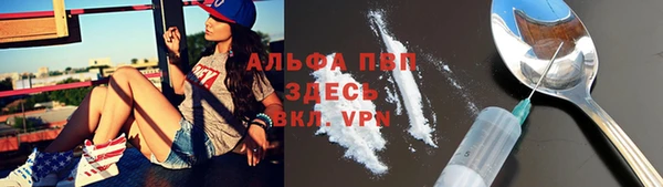 соль ск Богородицк
