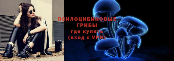 шишки Богородск