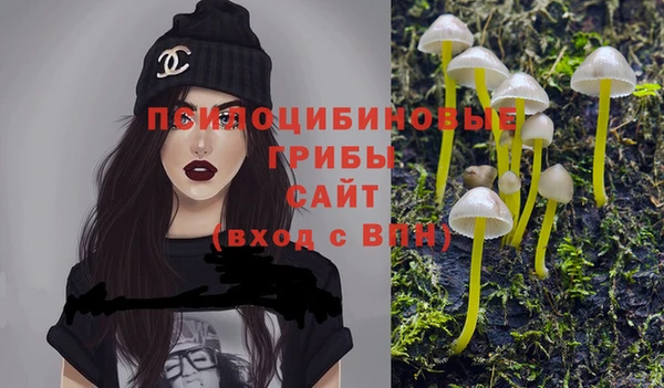 шишки Богородск