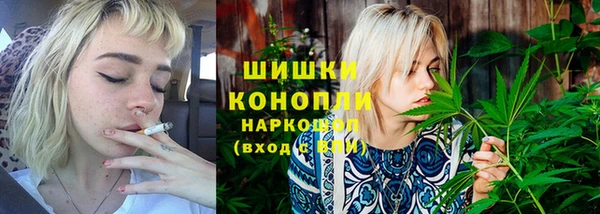 шишки Богородск