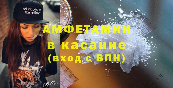 шишки Богородск