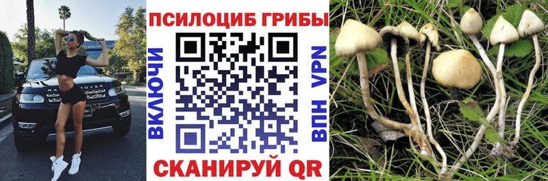 Псилоцибиновые грибы MAGIC MUSHROOMS Новороссийск